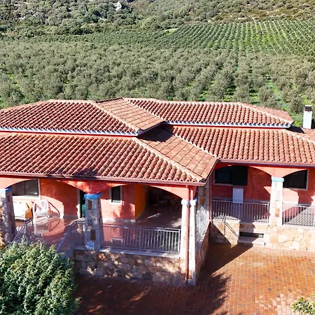 Vila With Stunning Views To The Mountains 5km From The