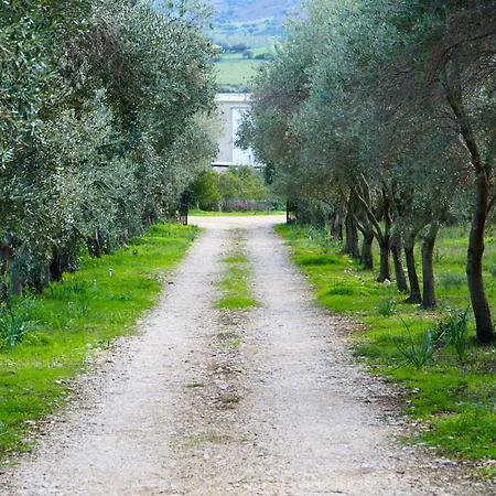 With Stunning Views To The Mountains 5km From The Villa *