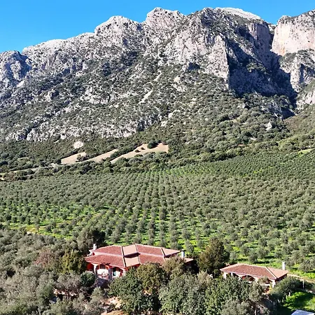 With Stunning Views To The Mountains 5km From The Villa