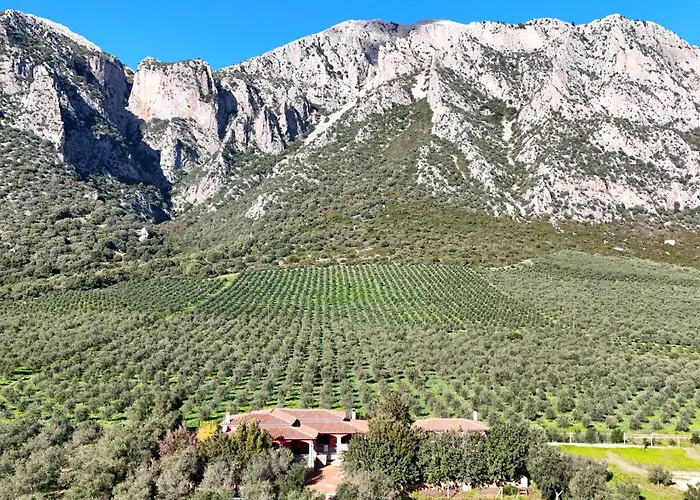 With Stunning Views To The Mountains 5km From The Siniscola
