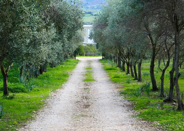 With Stunning Views To The Mountains 5km From The Villa *
